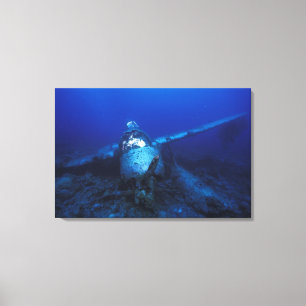 Mikronesien, Palau, Weltkulturerbe. II. Leinwanddruck