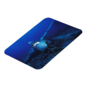 Mikronesien, Palau, Weltkulturerbe. II. Magnet (Linke Seite)