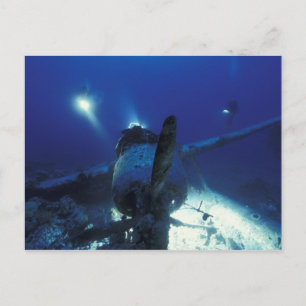 Mikronesien, Palau, Weltkulturerbe. Taucher Postkarte