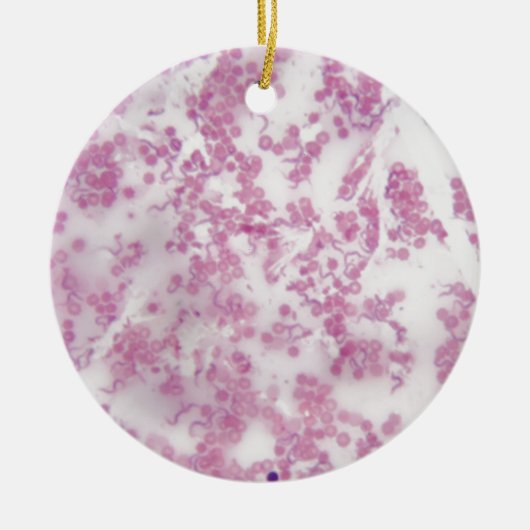 Mikroskop-Foto des menschlichen Bluts mit Keramikornament (Vorne)