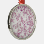 Mikroskop-Foto des menschlichen Bluts mit Ornament Aus Metall (Rechts)