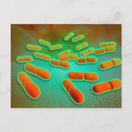 Mikroskopische Ansicht der Listeria Monocytogenes Postkarte (Vorderseite)
