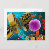 Mikroskopische Ansicht des Tierzellen-Kernes Postkarte (Vorne/Hinten)