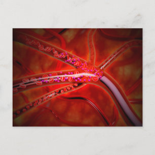 Mikroskopische Ansicht des zu injizierenden Arznei Postkarte