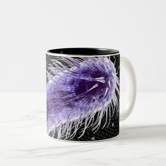 Mikroskopische Ansicht einer helicobacter Zweifarbige Tasse (VorderseiteRechts)