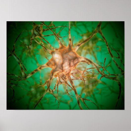 Mikroskopische Ansicht mehrerer Nervenzellen 1 Poster (Vorne)
