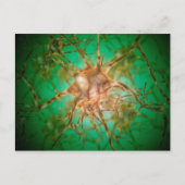 Mikroskopische Ansicht mehrerer Nervenzellen 1 Postkarte (Vorderseite)