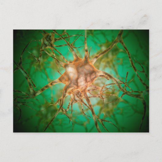 Mikroskopische Ansicht mehrerer Nervenzellen 1 Postkarte (Vorderseite)