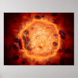 Mikroskopische Ansicht von Hunde- Parvovirus 4 Poster