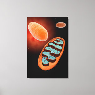 Mikroskopische Ansicht von Mitochondrien 1 Leinwanddruck