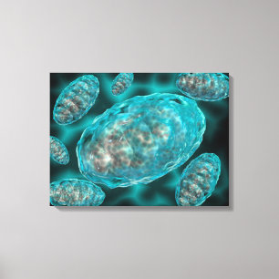 Mikroskopische Ansicht von Mitochondrien 2 Leinwanddruck