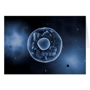 Mikroskopische Ansicht von Tierzelle 3
