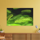 Mikroskopische Bakterienansicht 1 Leinwanddruck (Insitu (Wohnzimmer))