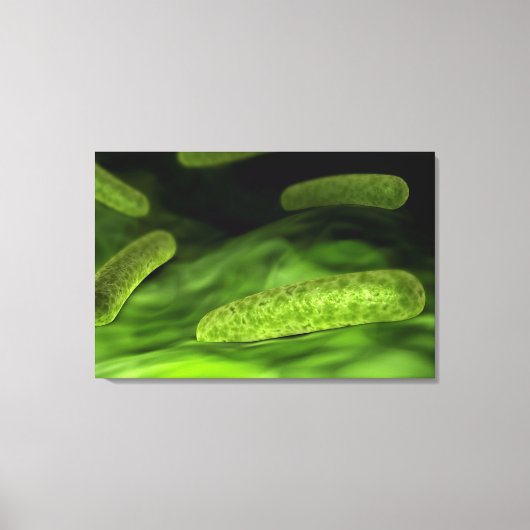 Mikroskopische Bakterienansicht 1 Leinwanddruck (Vorderseite)