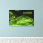 Mikroskopische Bakterienansicht 1 Leinwanddruck (Insitu (Holzboden))