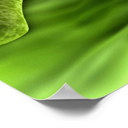 Mikroskopische Bakterienansicht 1 Poster (Ecke)