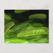 Mikroskopische Bakterienansicht 1 Postkarte (Vorderseite)
