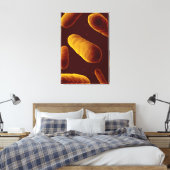 Mikroskopische Bakterienansicht 3 Leinwanddruck (Insitu (Schlafzimmer))