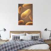 Mikroskopische Bakterienansicht 5 Leinwanddruck (Insitu (Schlafzimmer))