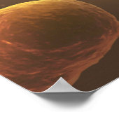 Mikroskopische Bakterienansicht 5 Poster (Ecke)