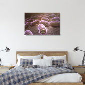 Mikroskopische Bakterienansicht Leinwanddruck (Insitu (Schlafzimmer))