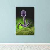 Mikroskopische Darstellung der Bakteriophage Leinwanddruck (Insitu (Holzboden))