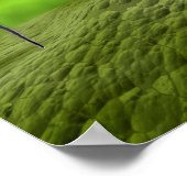 Mikroskopische Darstellung der Bakteriophage Poster (Ecke)