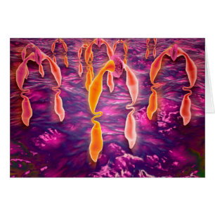 Mikroskopische Darstellung der Liganden-Bindung an