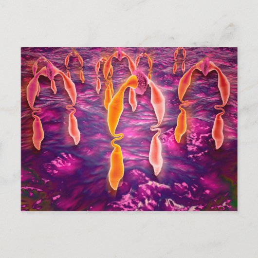 Mikroskopische Darstellung der Liganden-Bindung an Postkarte (Vorderseite)