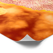 Mikroskopische Darstellung des Canin Parvovirus 1 Poster (Ecke)