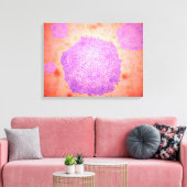 Mikroskopische Darstellung des Canin Parvovirus 2 Leinwanddruck (Insitu (Wohnzimmer))