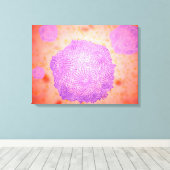 Mikroskopische Darstellung des Canin Parvovirus 2 Leinwanddruck (Insitu (Holzboden))