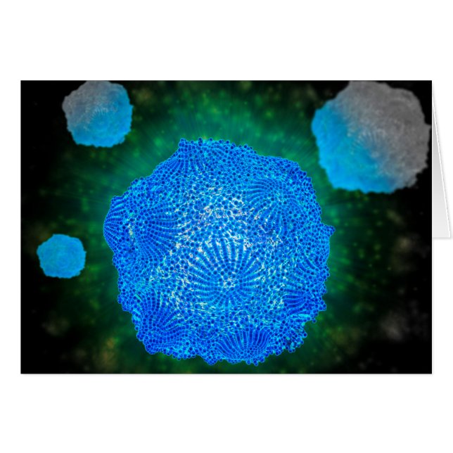 Mikroskopische Darstellung des Canin Parvovirus 3 (Vorderseite (Horizontal))