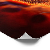 Mikroskopische Darstellung des Canin Parvovirus 4 Poster (Ecke)