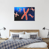 Mikroskopische Darstellung des Chromosoms 1 Leinwanddruck (Insitu (Schlafzimmer))