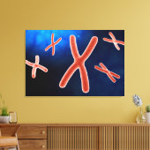 Mikroskopische Darstellung des Chromosoms 1 Leinwanddruck (Insitu (Wohnzimmer))