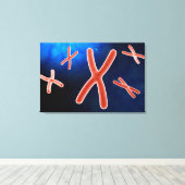 Mikroskopische Darstellung des Chromosoms 1 Leinwanddruck (Insitu (Holzboden))