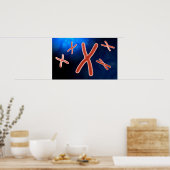 Mikroskopische Darstellung des Chromosoms 1 Poster (Küche)