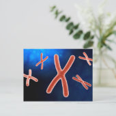 Mikroskopische Darstellung des Chromosoms 1 Postkarte (Stehend Vorderseite)