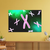 Mikroskopische Darstellung des Chromosoms 2 Leinwanddruck (Insitu (Wohnzimmer))