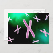 Mikroskopische Darstellung des Chromosoms 2 Postkarte (Vorne/Hinten)