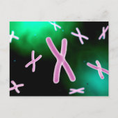 Mikroskopische Darstellung des Chromosoms 2 Postkarte (Vorderseite)