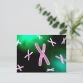 Mikroskopische Darstellung des Chromosoms 2 Postkarte (Stehend Vorderseite)