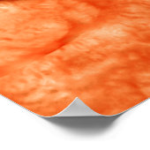 Mikroskopische Darstellung des Hakenwurms 2 Poster (Ecke)