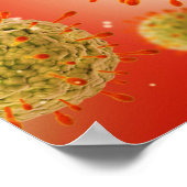 Mikroskopische Darstellung des Herpesvirus 1 Poster (Ecke)