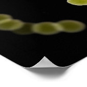 Mikroskopische Darstellung des Streptokokkus 1 Poster (Ecke)