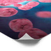 Mikroskopische Darstellung einer Gruppe von Leukäm Poster (Ecke)