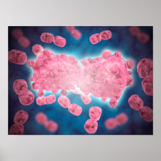 Mikroskopische Darstellung einer Gruppe von Leukäm Poster (Vorne)