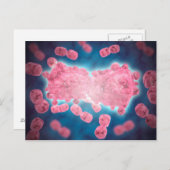 Mikroskopische Darstellung einer Gruppe von Leukäm Postkarte (Vorne/Hinten)