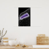 Mikroskopische Darstellung einer Helicobacter pylo Poster (Küche)